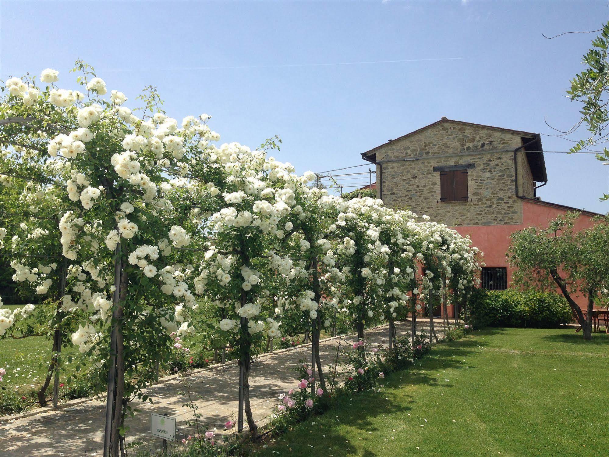 Agriturismo Casale Le Selvette Ripa Exterior foto